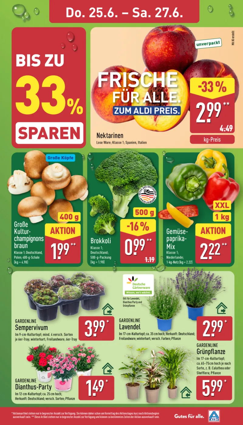 ALDI Nord Prospekt vom 22.06.2026, Seite 29