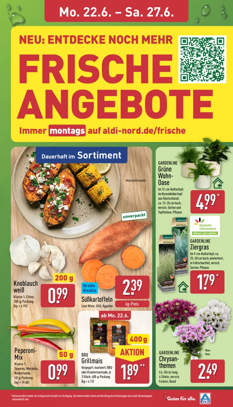 ALDI Nord Prospekt vom 22.06.2026, Seite 3