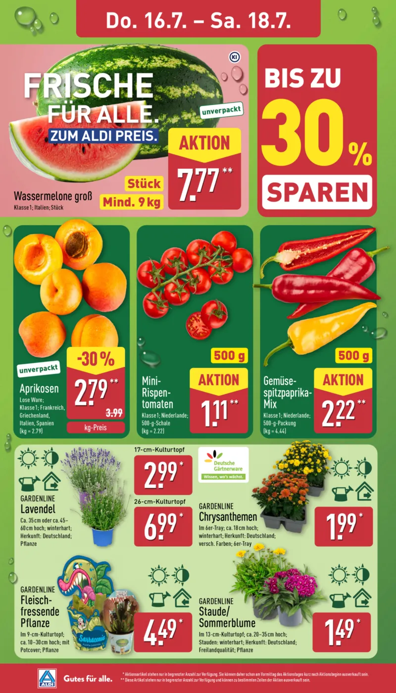 ALDI Nord Prospekt vom 13.07.2026, Seite 26