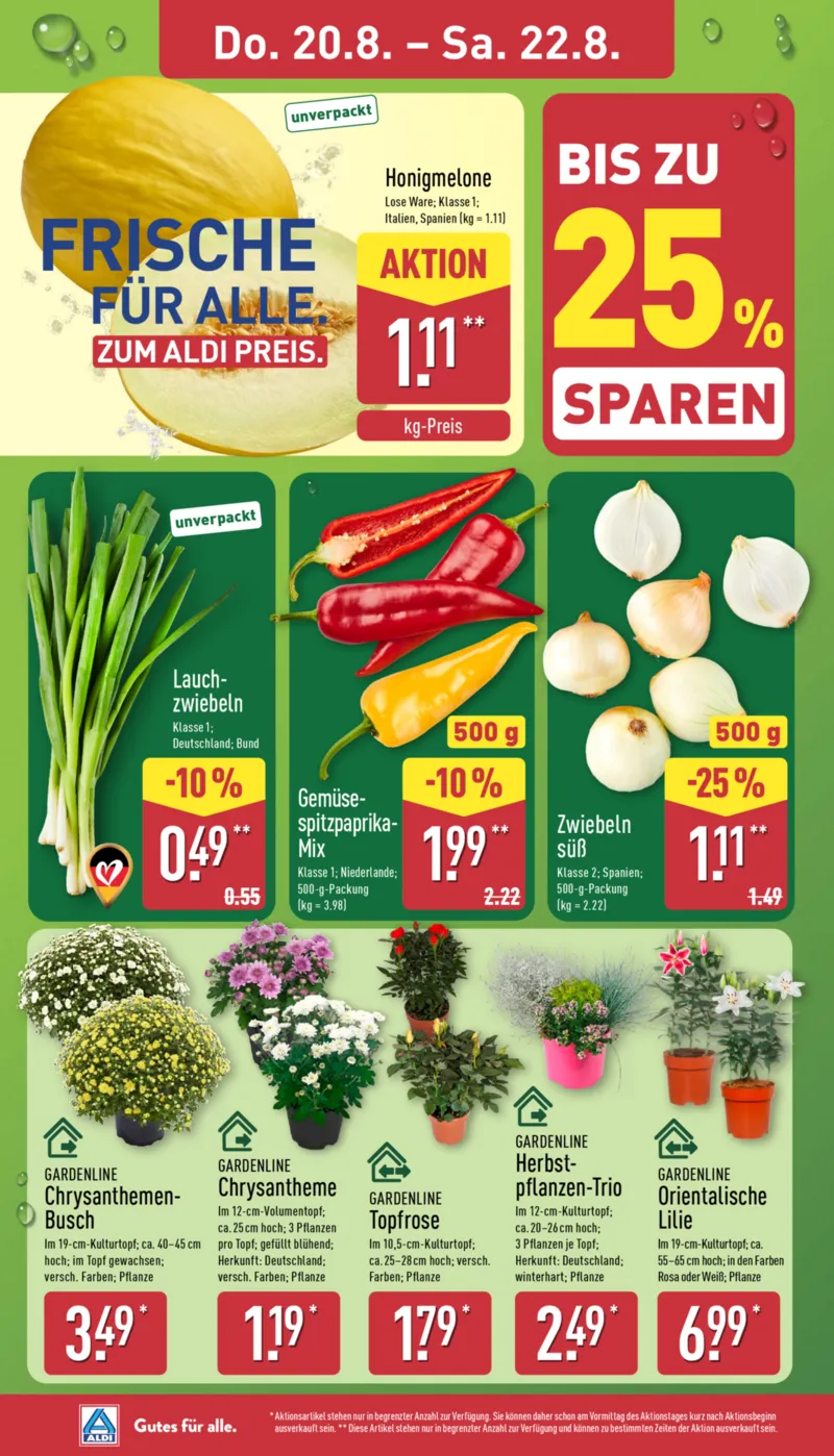 ALDI Nord Prospekt vom 17.08.2026, Seite 26