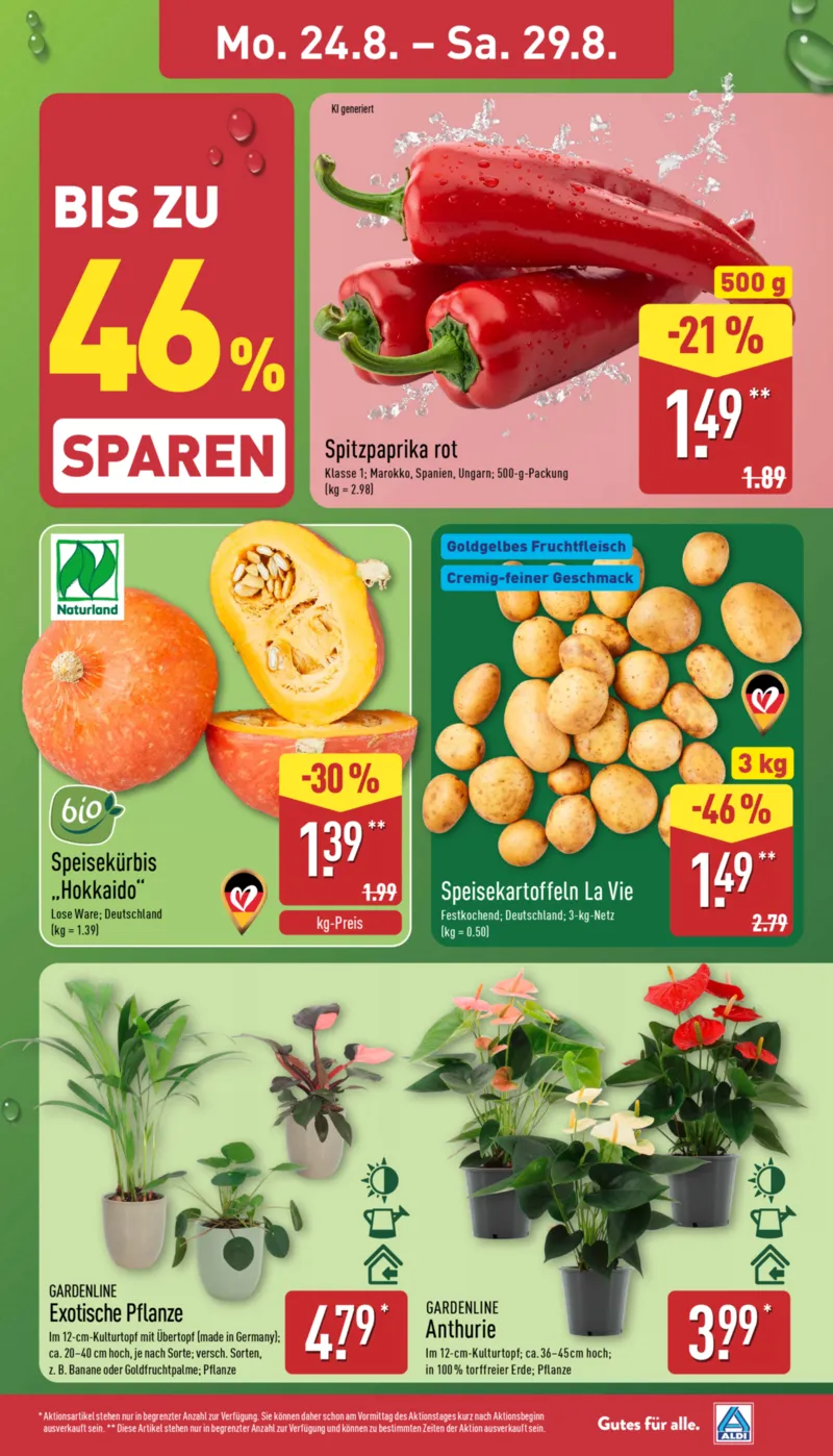 ALDI Nord Prospekt vom 24.08.2026, Seite 3
