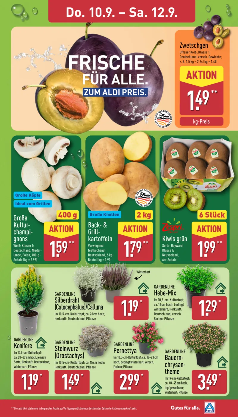 ALDI Nord Prospekt vom 07.09.2026, Seite 27