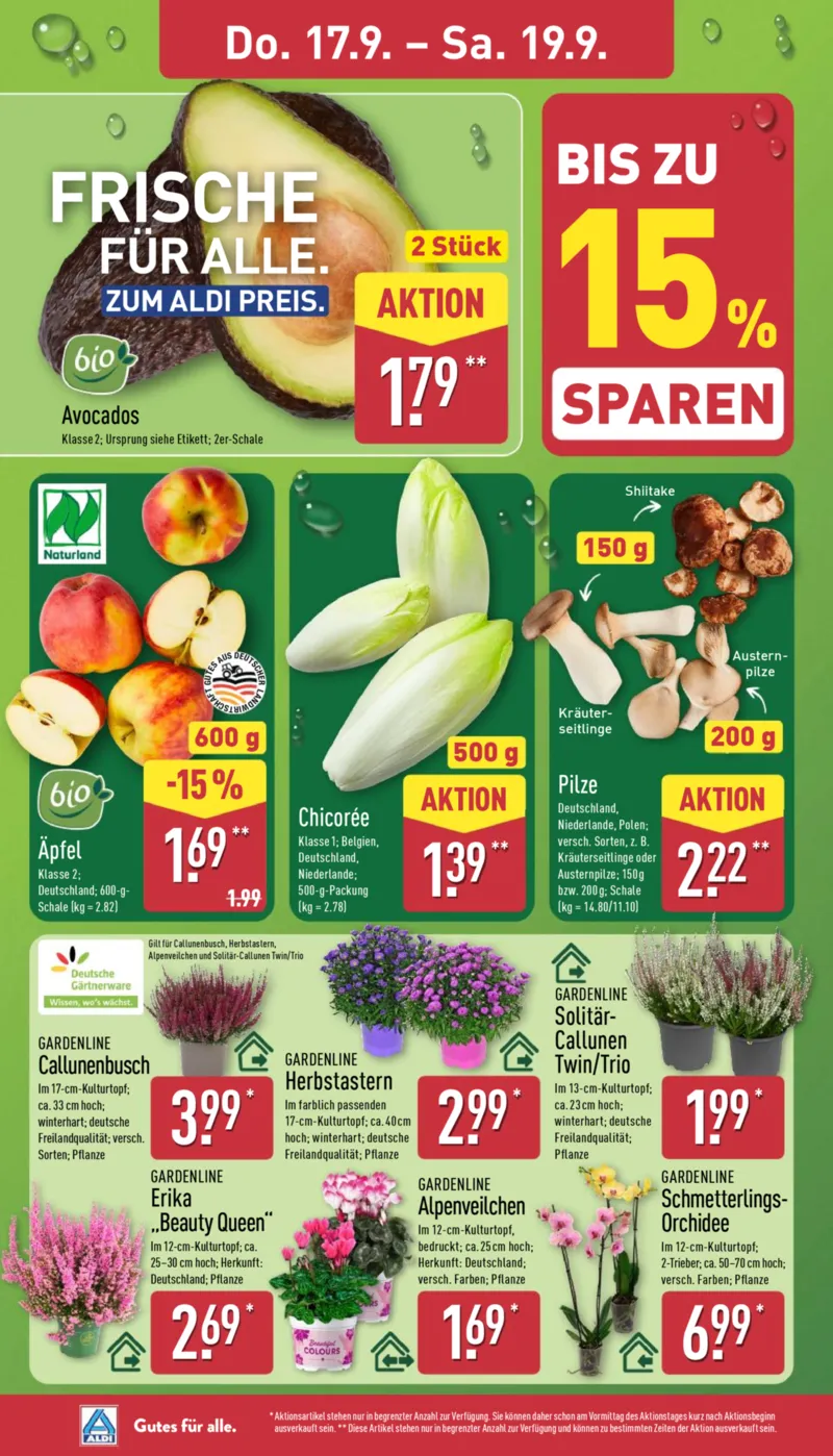 ALDI Nord Prospekt vom 14.09.2026, Seite 30