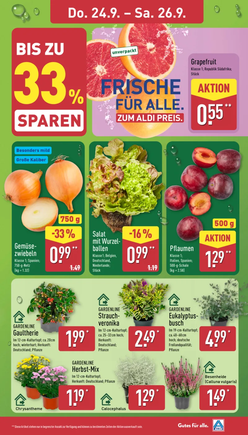ALDI Nord Prospekt vom 21.09.2026, Seite 27
