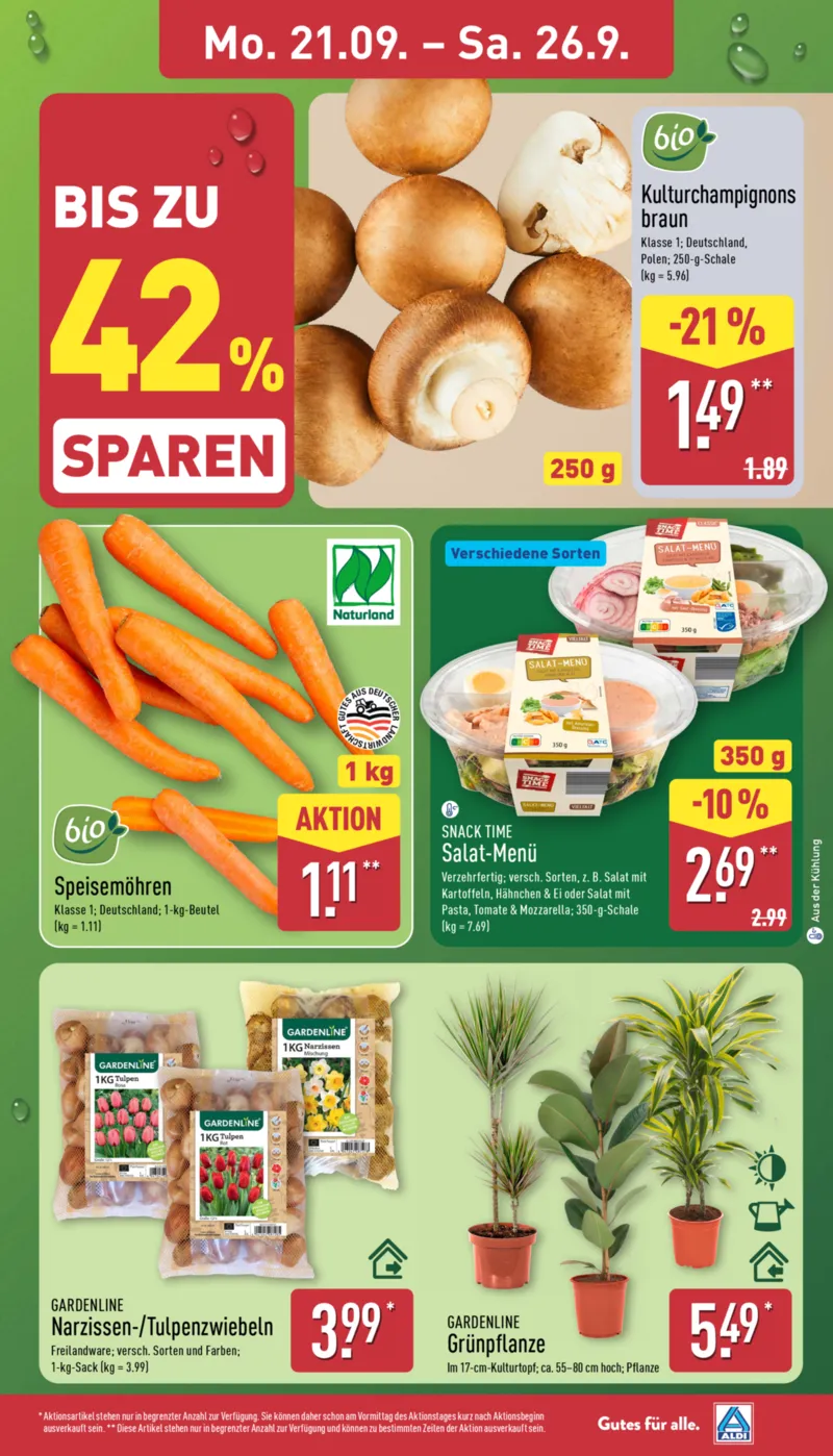 ALDI Nord Prospekt vom 21.09.2026, Seite 3