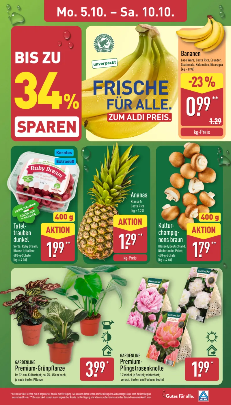 ALDI Nord Prospekt vom 05.10.2026, Seite 3
