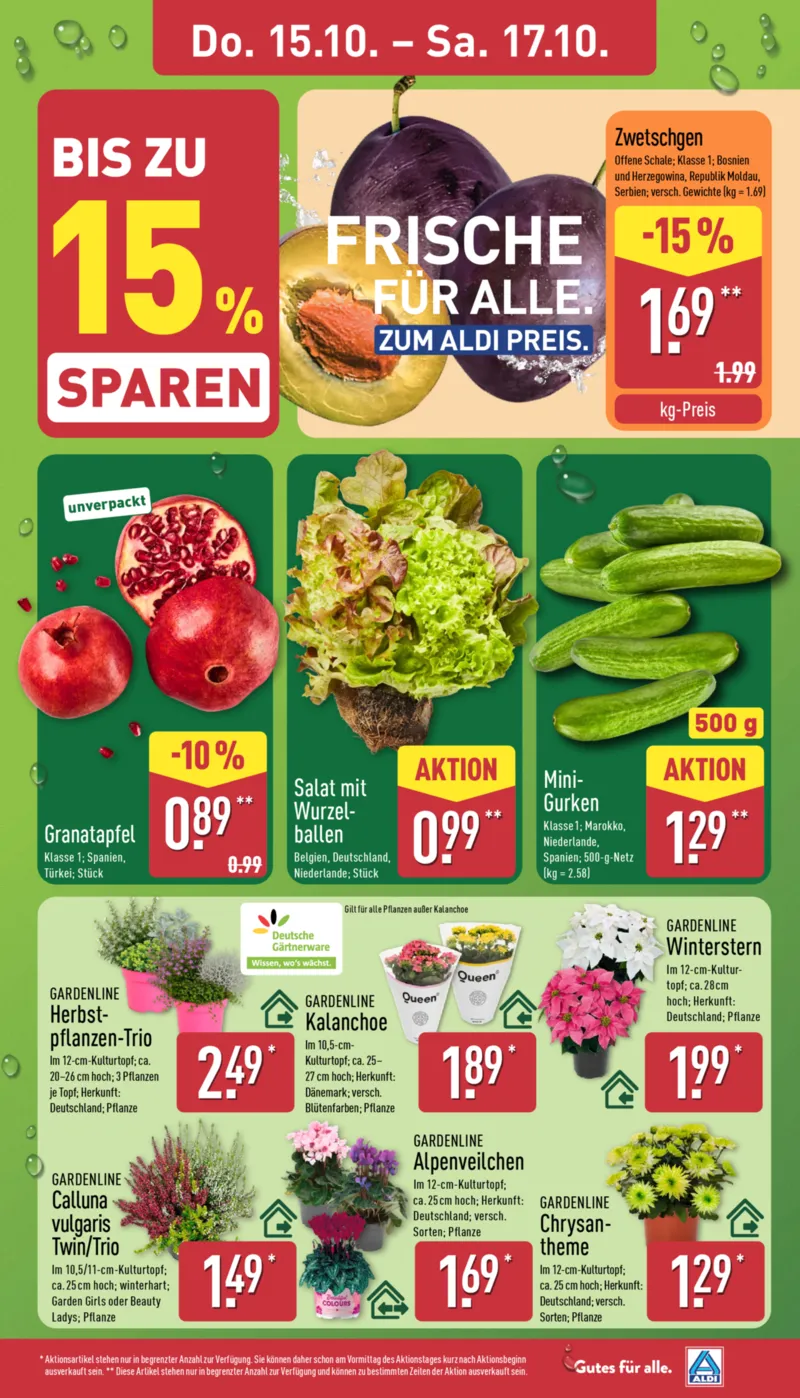 ALDI Nord Prospekt vom 12.10.2026, Seite 29