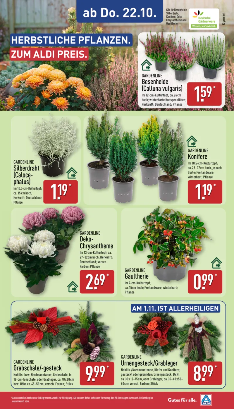ALDI Nord Prospekt vom 19.10.2026, Seite 29