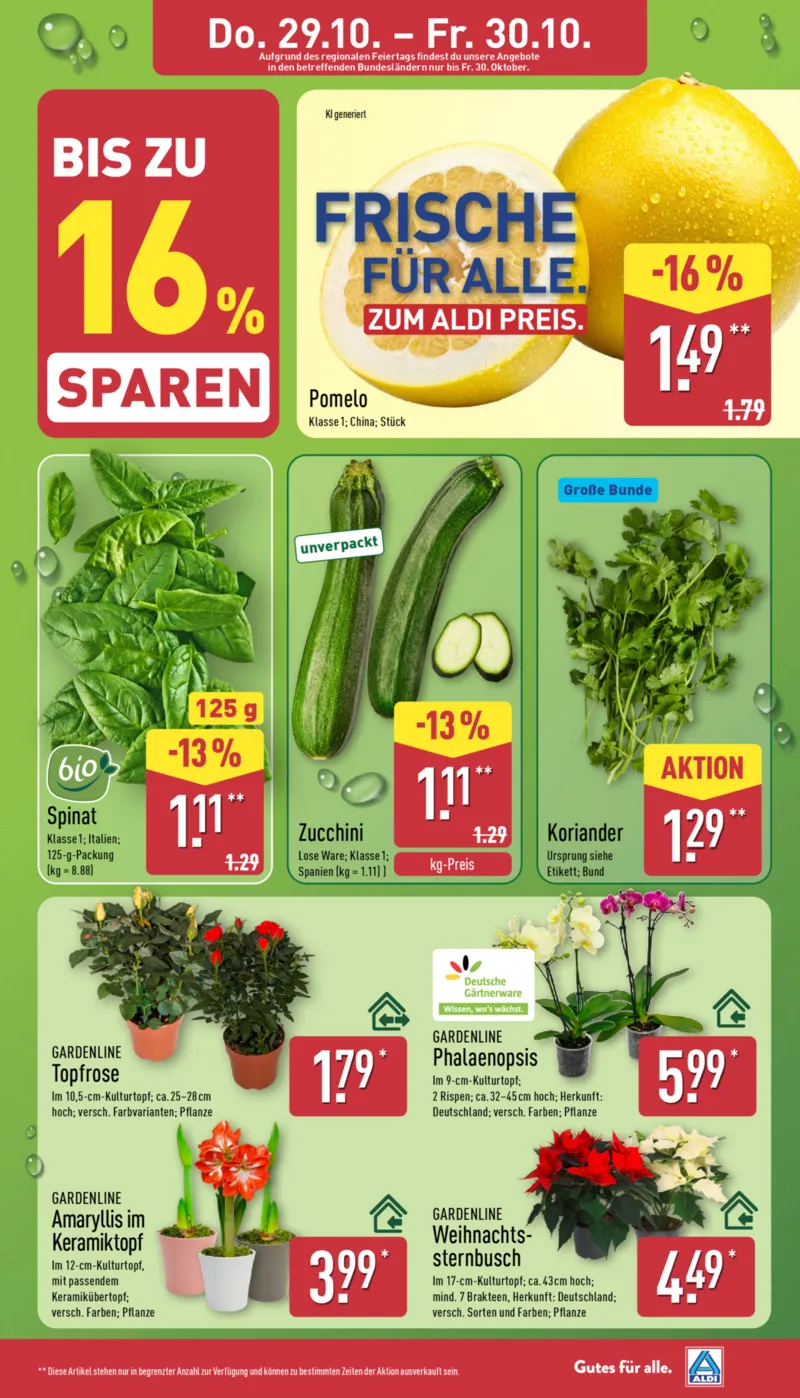 ALDI Nord Prospekt vom 26.10.2026, Seite 32