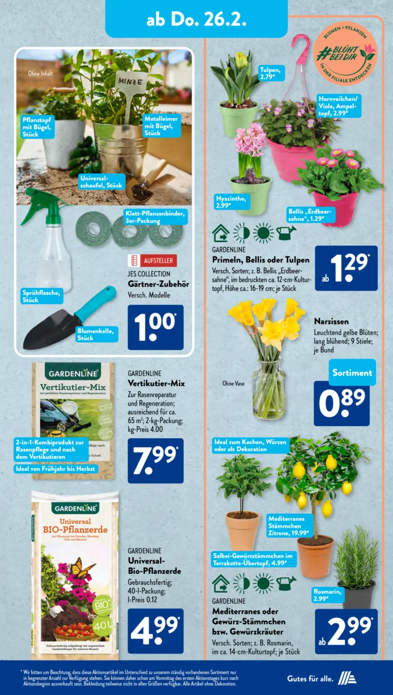 ALDI SÜD Prospekt vom 23.02.2026, Seite 10