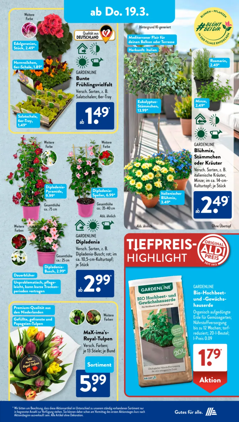 ALDI SÜD Prospekt vom 16.03.2026, Seite 7