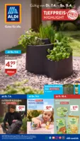 ALDI SÜD Prospekt nächster Woche