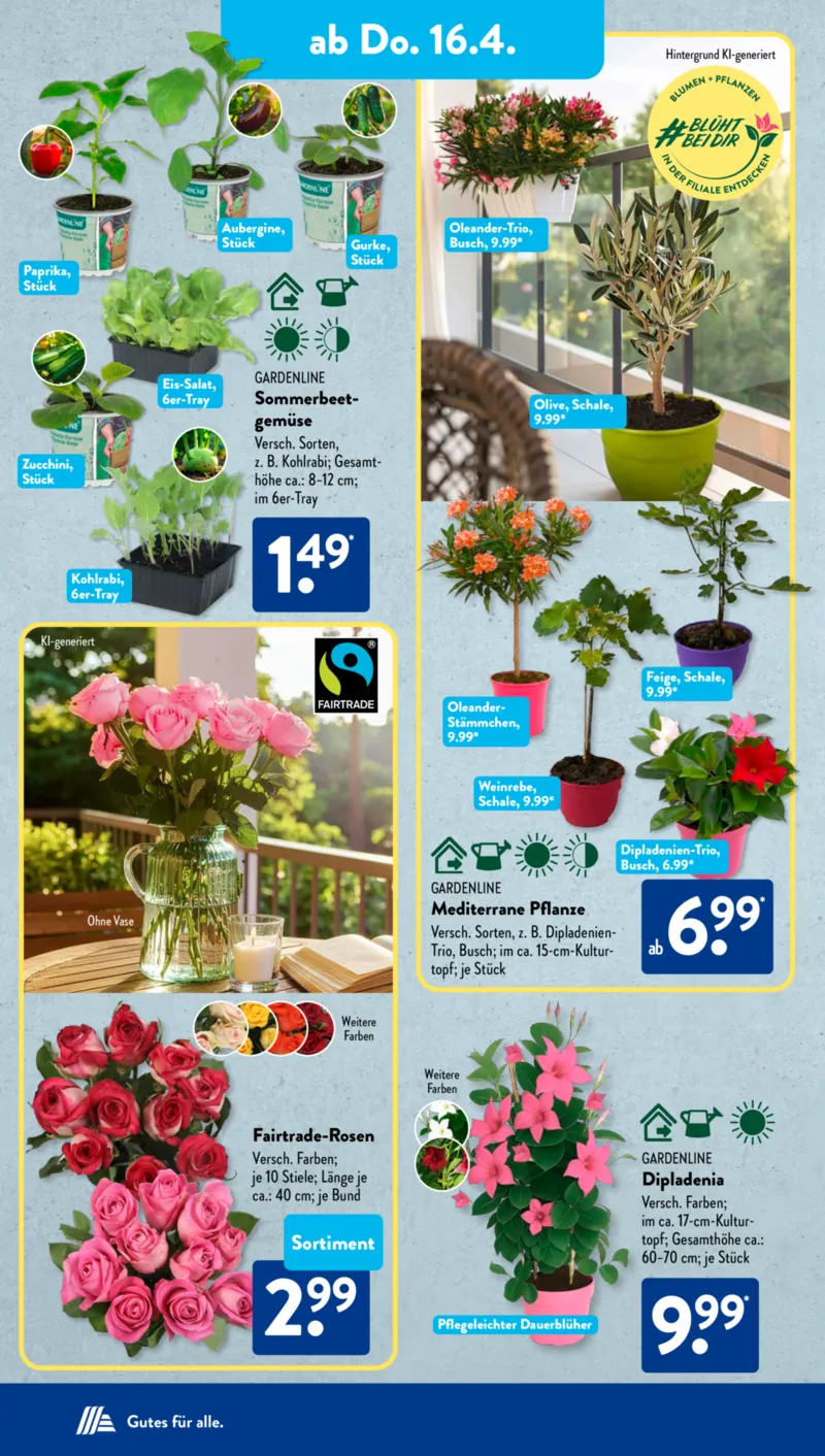 ALDI SÜD Prospekt vom 13.04.2026, Seite 20