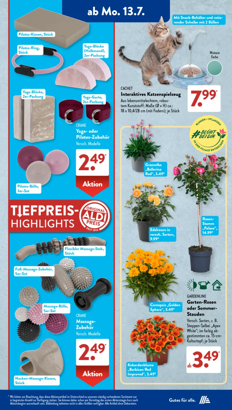 ALDI SÜD Prospekt vom 13.07.2026, Seite 12
