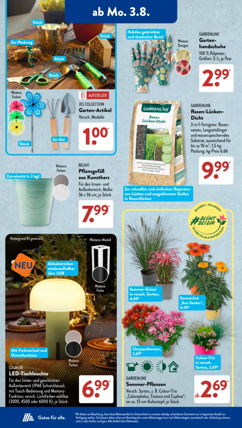 ALDI SÜD Prospekt vom 03.08.2026, Seite 13