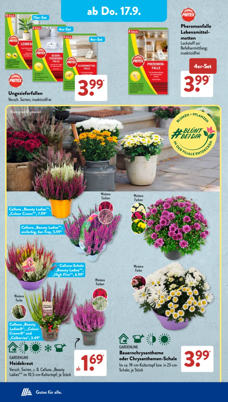 ALDI SÜD Prospekt vom 14.09.2026, Seite 21
