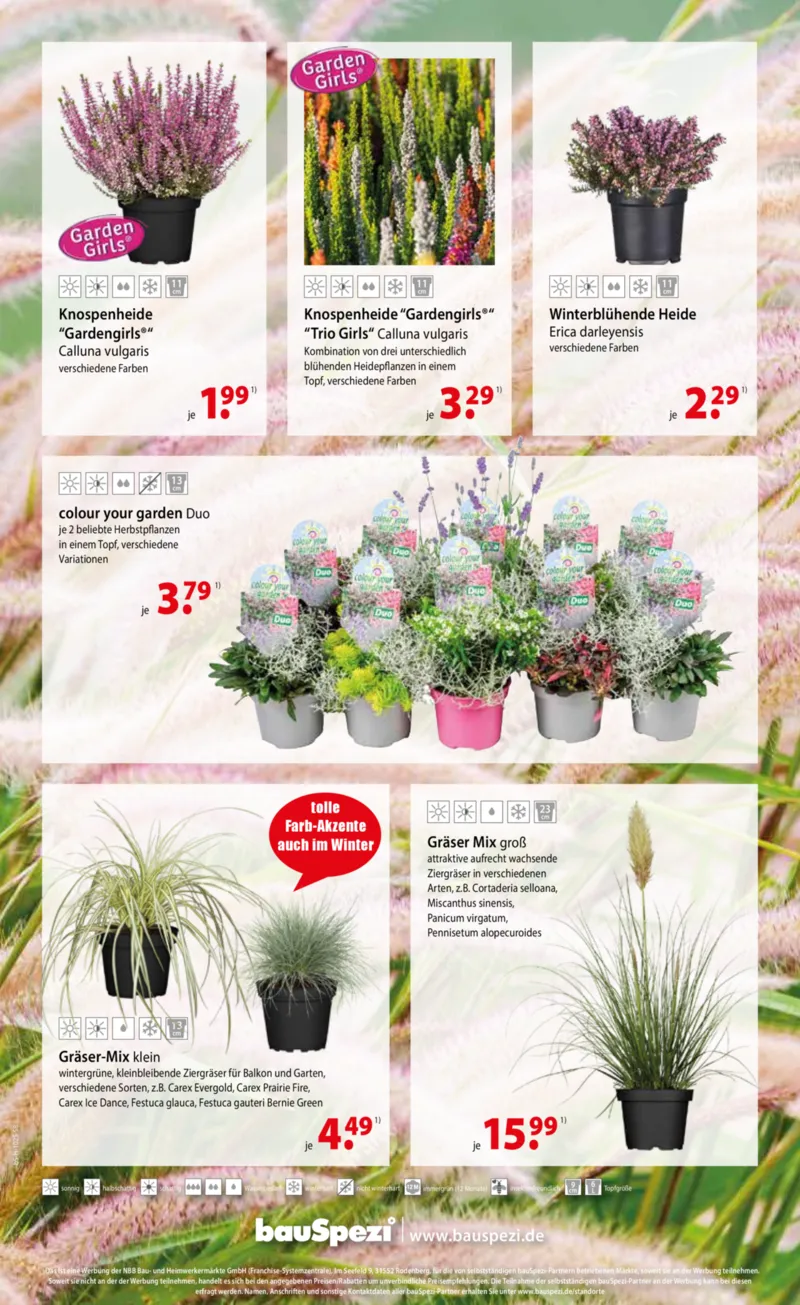 bauSpezi Prospekt vom 01.10.2025, Seite 8 bauSpezi Prospekt vom 01.10.2025, Seite 8