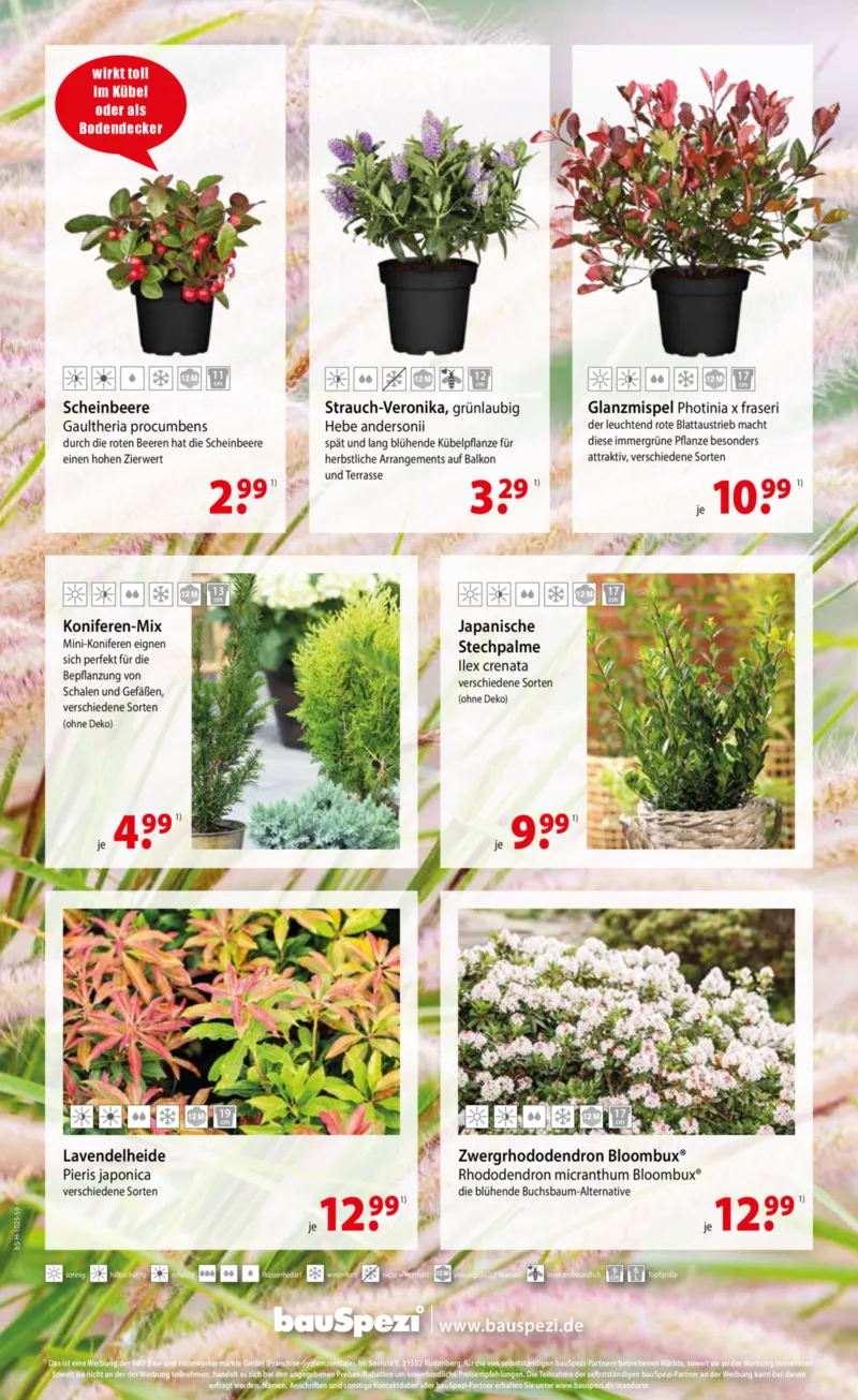 bauSpezi Prospekt vom 01.10.2025, Seite 9 bauSpezi Prospekt vom 01.10.2025, Seite 9