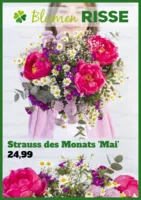 Blumen Risse Prospekt vom 08.05.2025