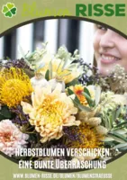 Blumen Risse Prospekt vom 04.10.2025