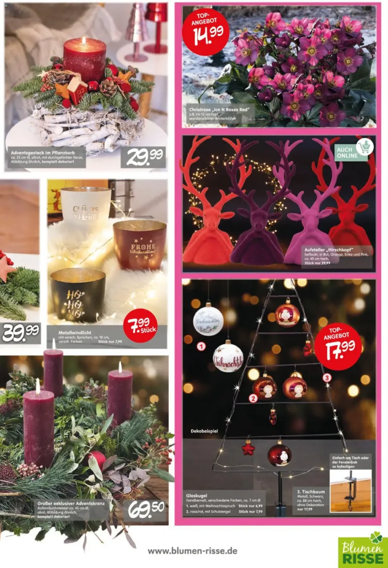Blumen Risse Prospekt vom 13.11.2025, Seite 3