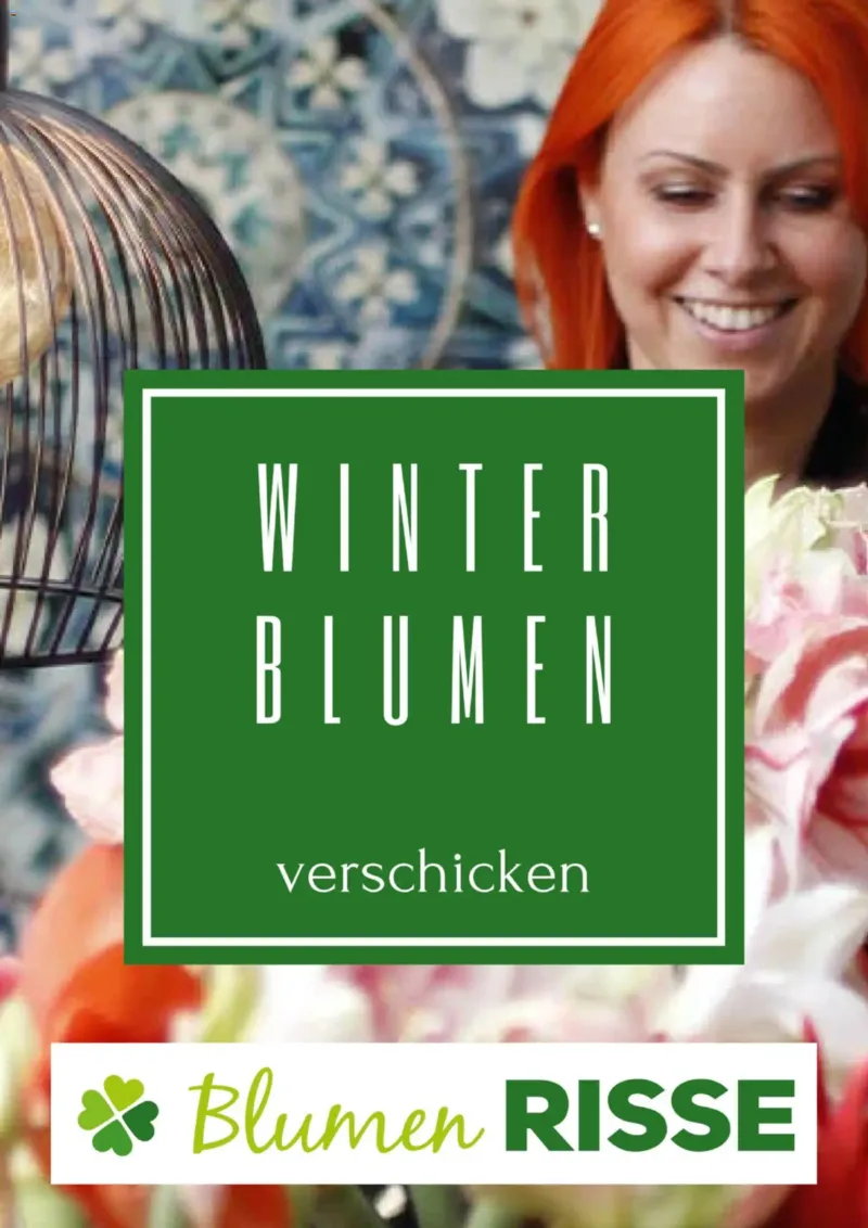 Blumen Risse Prospekt vom 24.11.2025, Seite 1