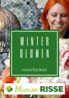Blumen Risse Prospekt vom 24.11.2025