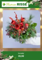 Blumen Risse Prospekt vom 24.11.2025