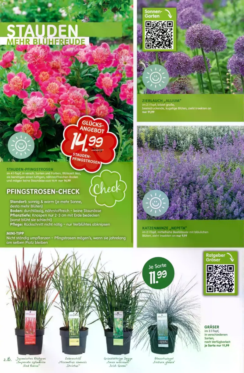 Blumen Risse Prospekt vom 16.04.2026, Seite 10