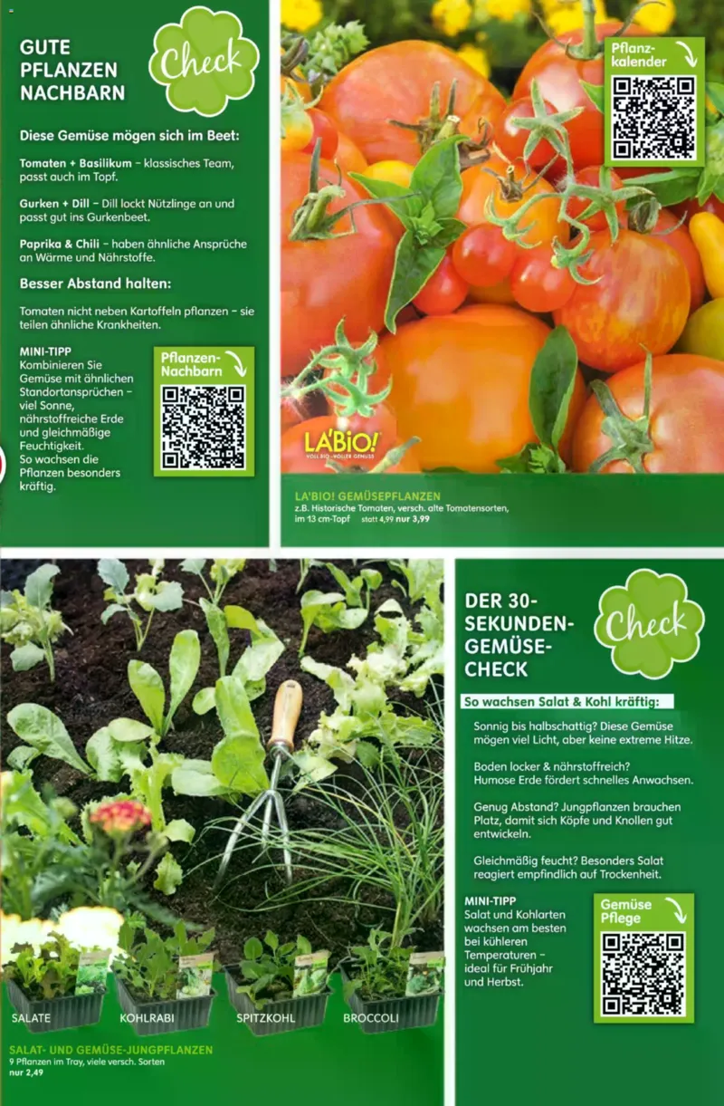 Blumen Risse Prospekt vom 16.04.2026, Seite 3