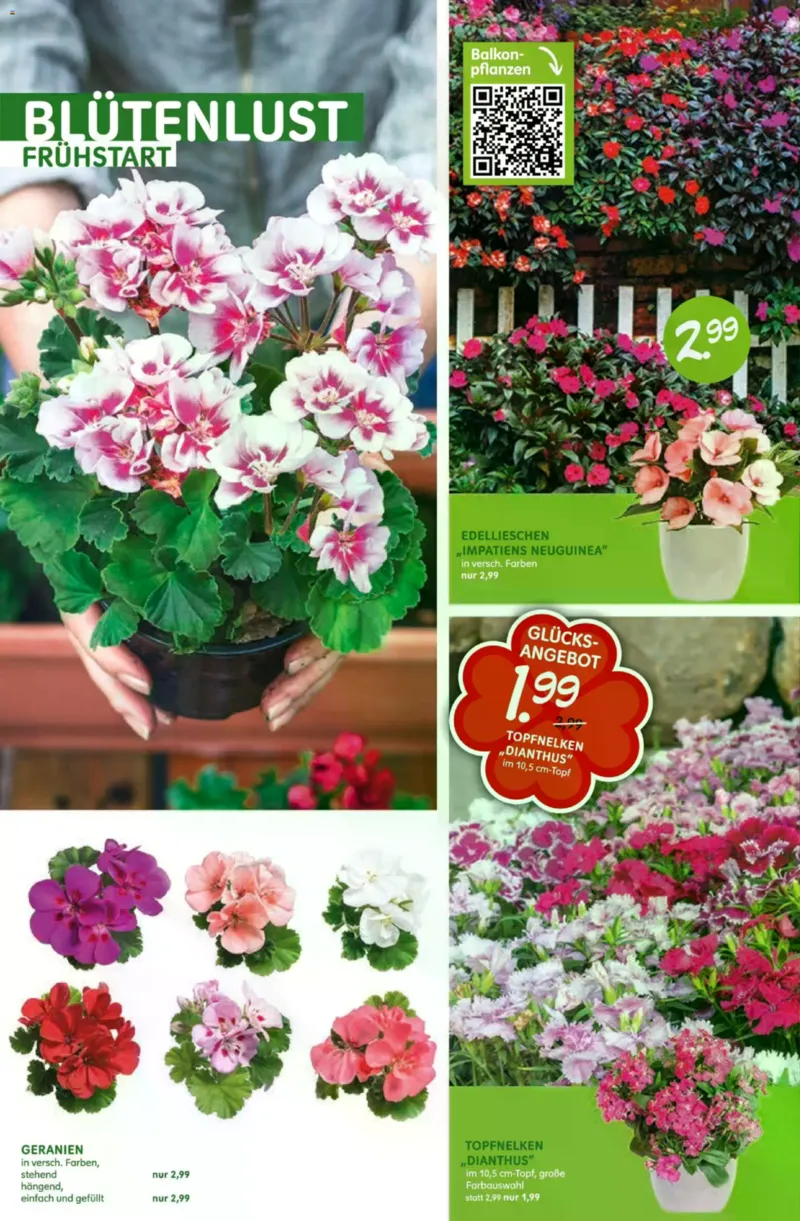 Blumen Risse Prospekt vom 16.04.2026, Seite 4