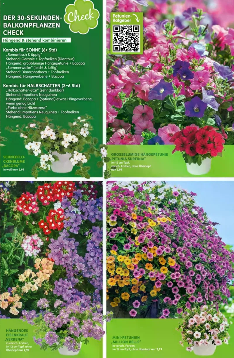 Blumen Risse Prospekt vom 16.04.2026, Seite 5