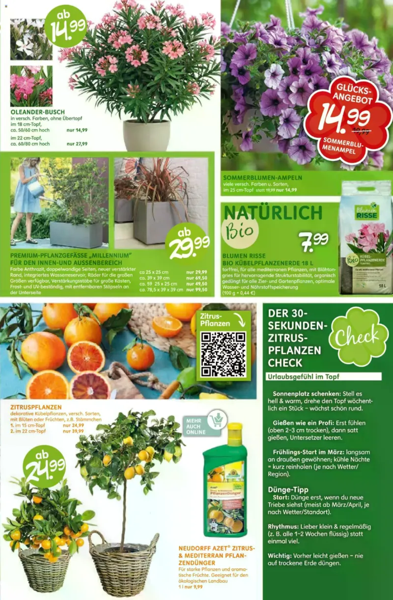 Blumen Risse Prospekt vom 16.04.2026, Seite 7