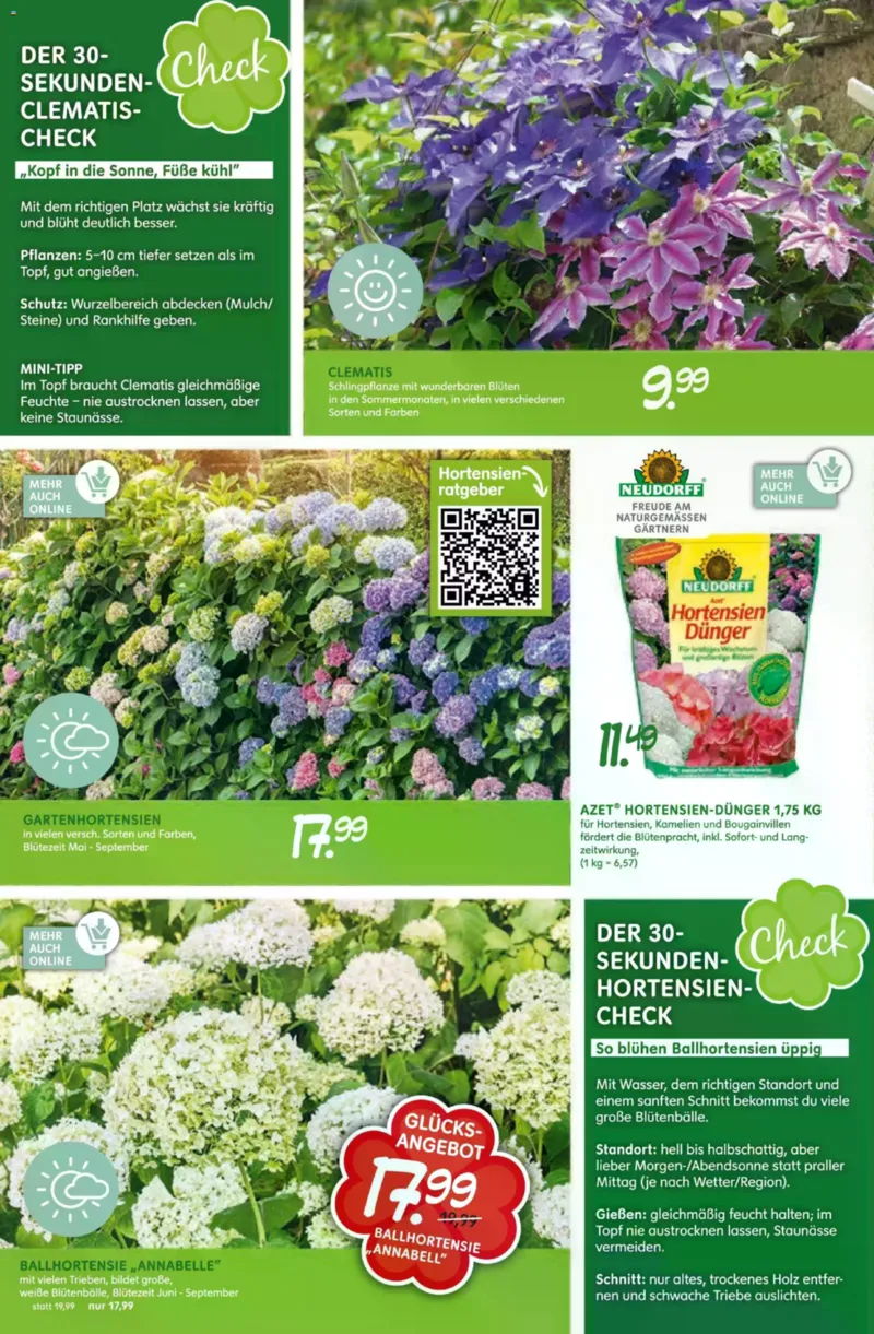 Blumen Risse Prospekt vom 16.04.2026, Seite 8