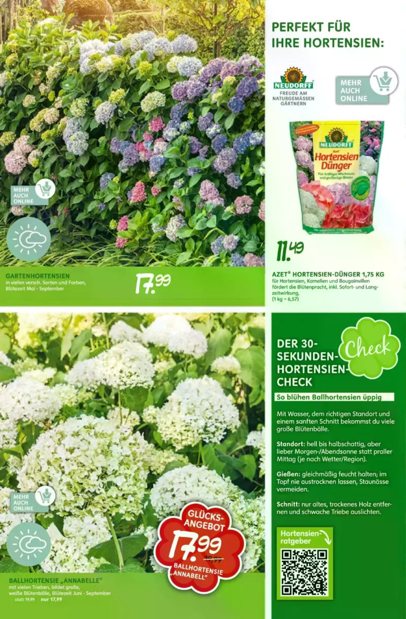 Blumen Risse Prospekt vom 28.05.2026, Seite 10