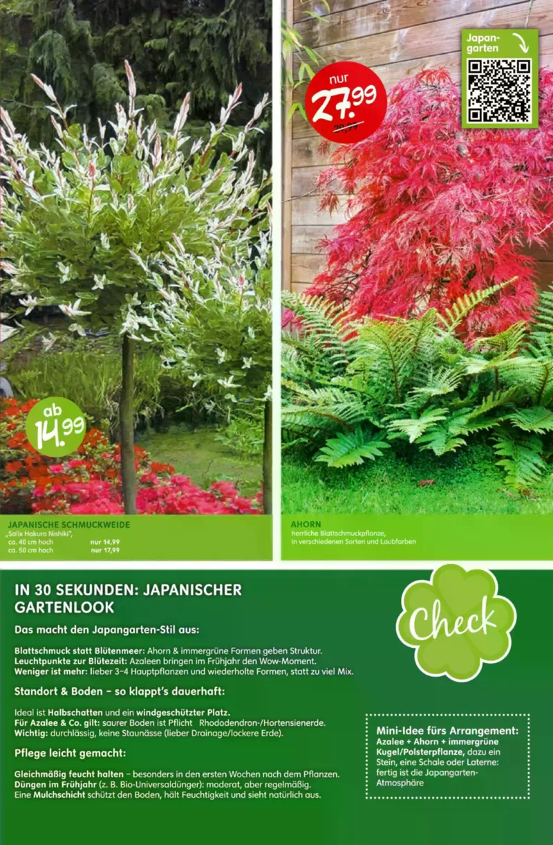 Blumen Risse Prospekt vom 28.05.2026, Seite 13
