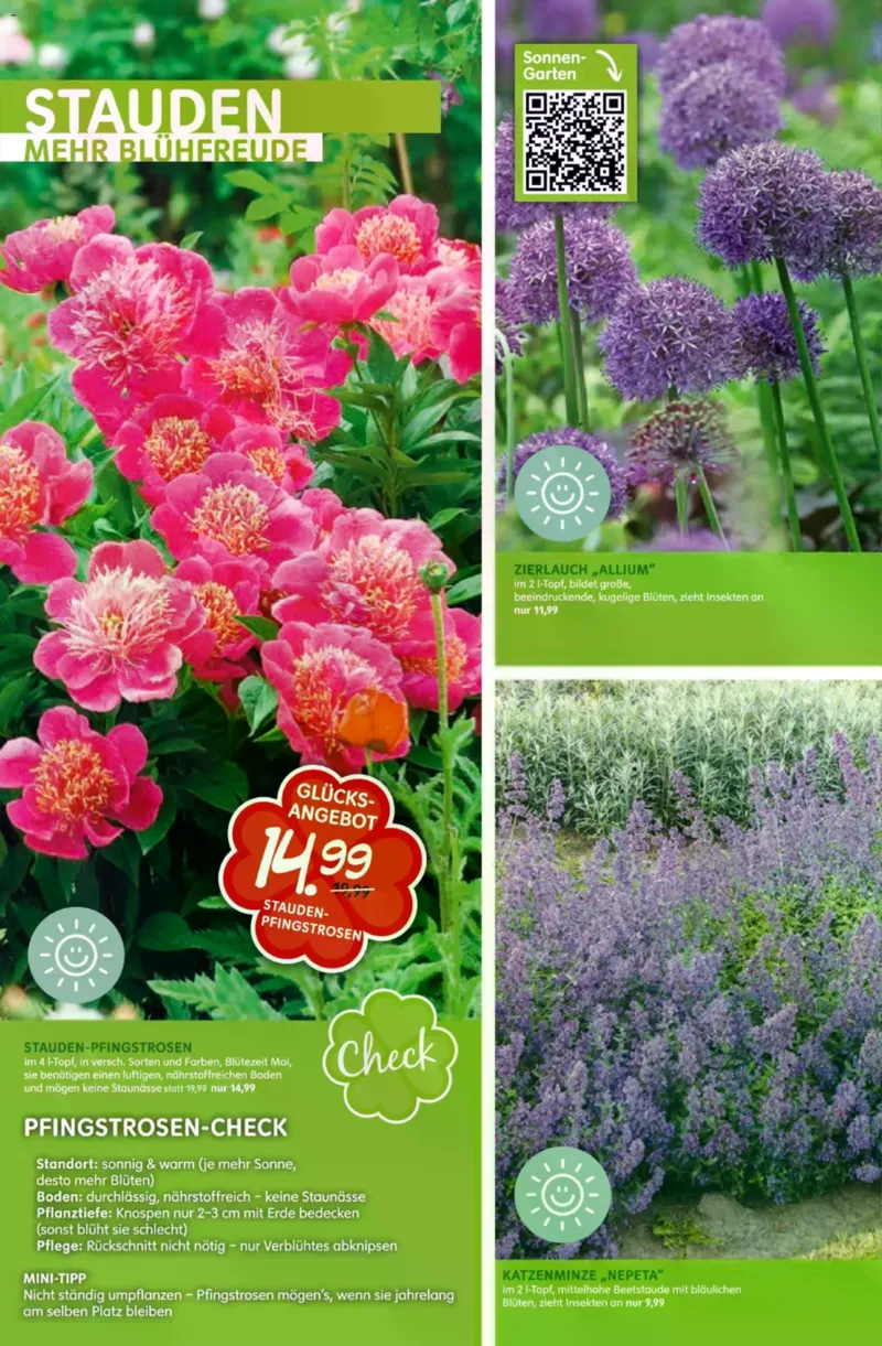 Blumen Risse Prospekt vom 28.05.2026, Seite 14