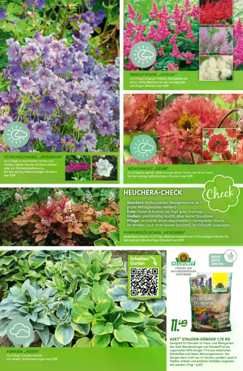 Blumen Risse Prospekt vom 28.05.2026, Seite 15