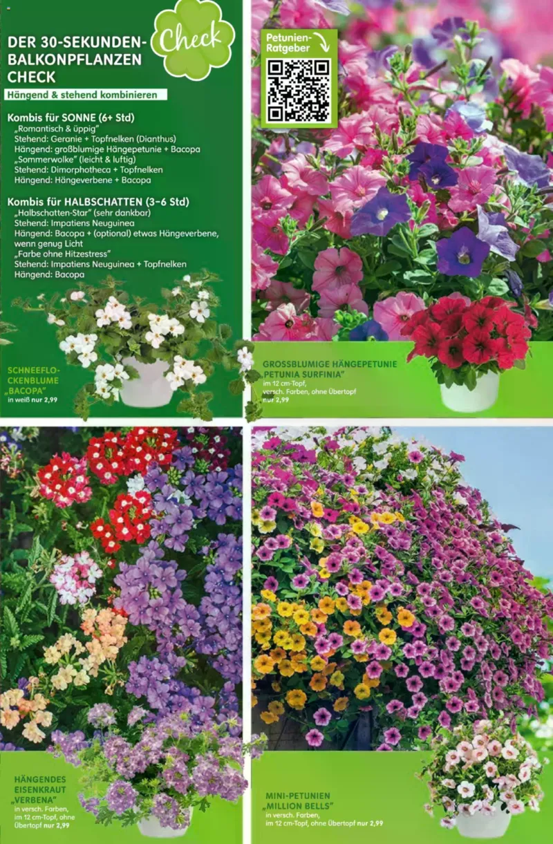 Blumen Risse Prospekt vom 28.05.2026, Seite 5