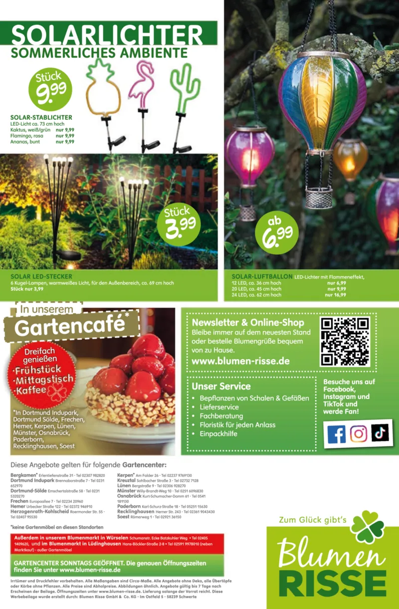 Blumen Risse Prospekt vom 28.05.2026, Seite 16