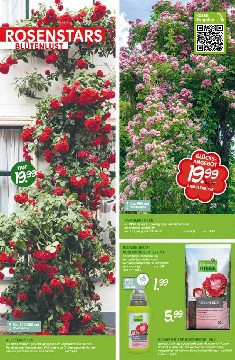 Blumen Risse Prospekt vom 28.05.2026, Seite 2