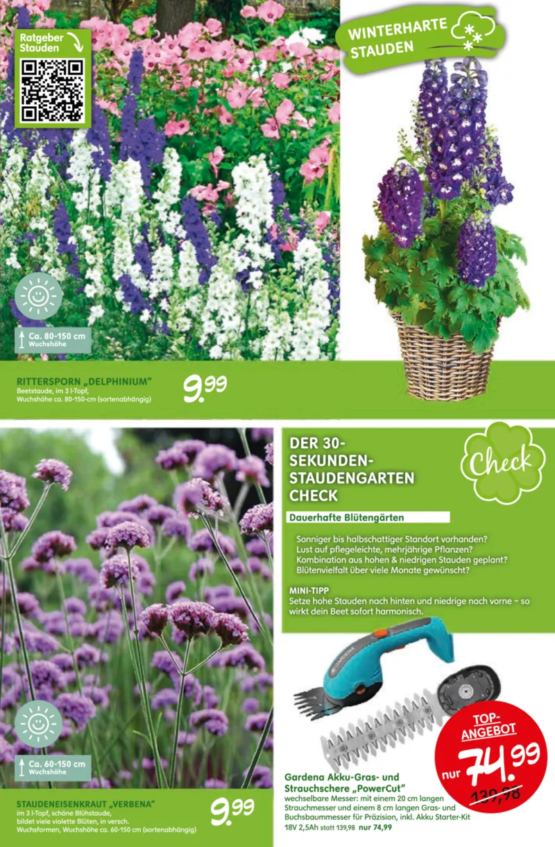 Blumen Risse Prospekt vom 28.05.2026, Seite 7