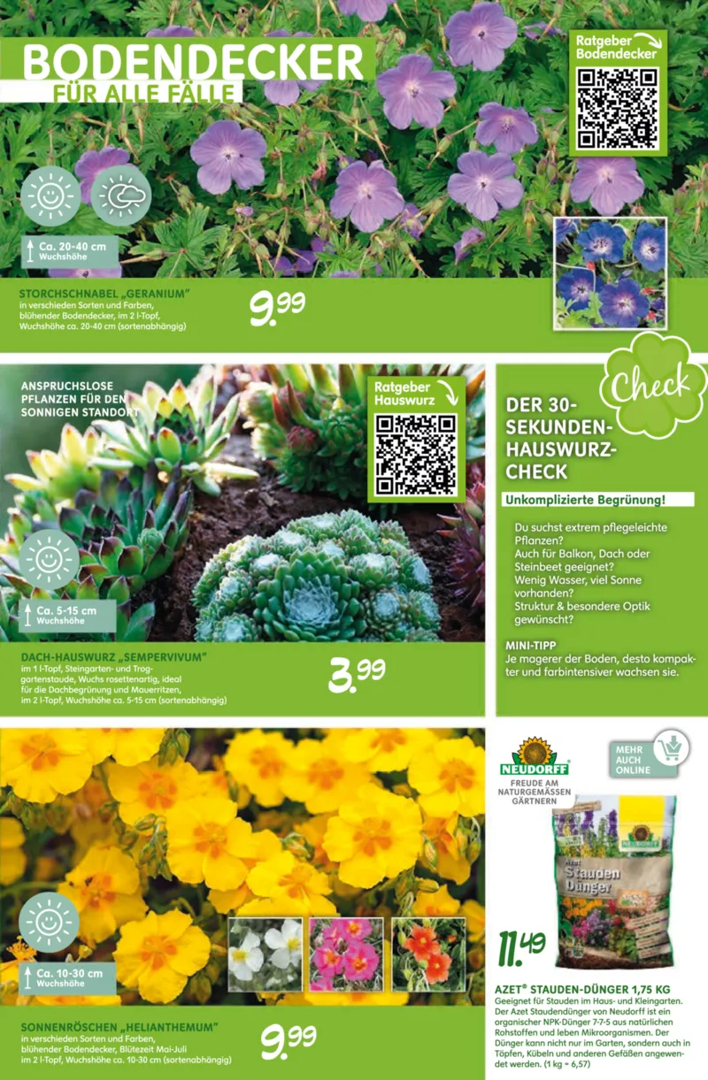 Blumen Risse Prospekt vom 28.05.2026, Seite 9