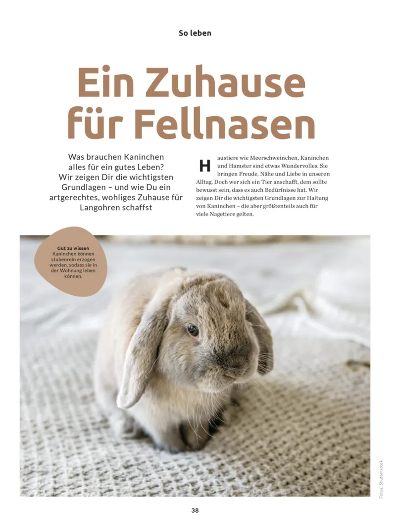 BUDNI Prospekt vom 25.02.2026, Seite 38