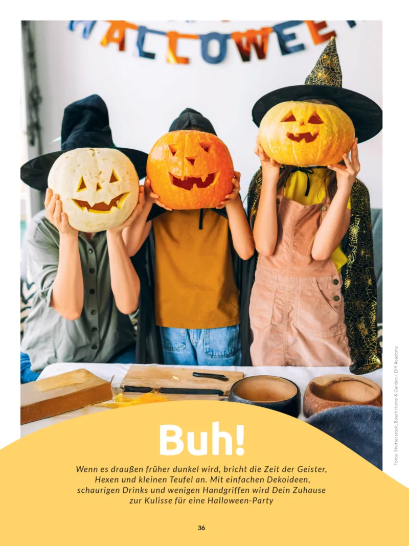 BUDNI Prospekt vom 21.09.2026, Seite 36