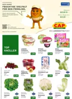CAP Markt Prospekt letzter Woche