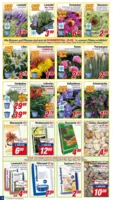 Centershop Prospekt vom 23.06.2025