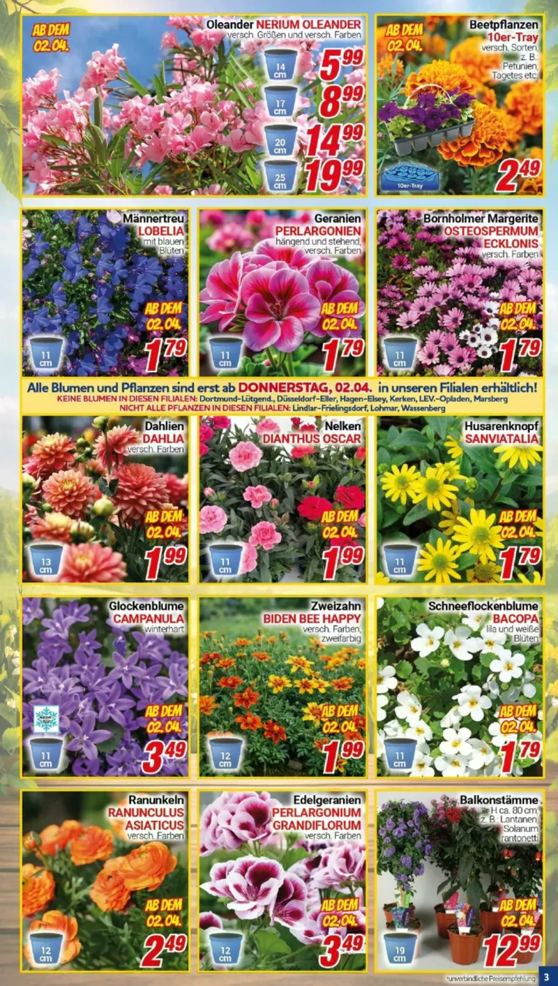 Centershop Prospekt vom 30.03.2026, Seite 3