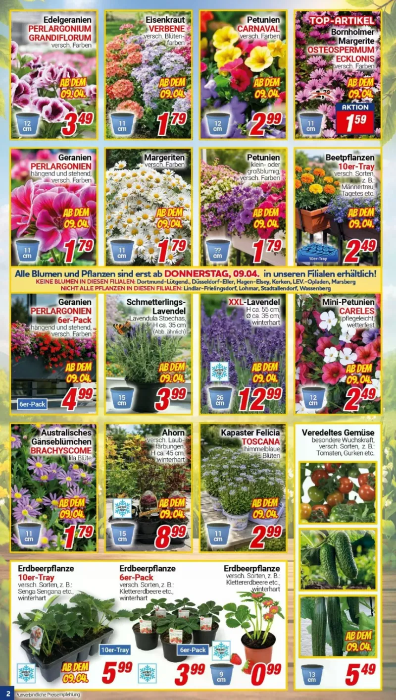 Centershop Prospekt vom 07.04.2026, Seite 2