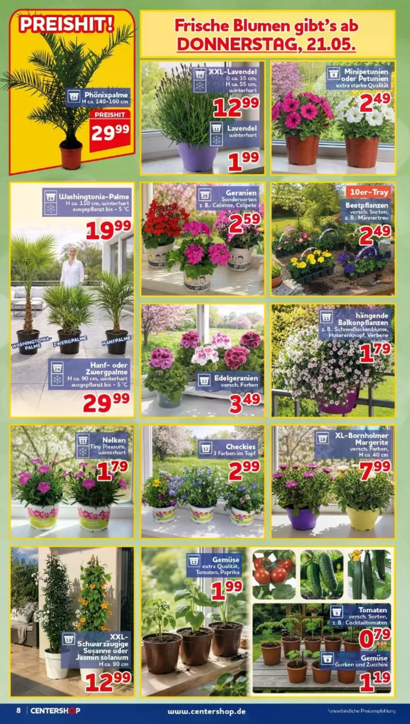 Centershop Prospekt vom 18.05.2026, Seite 8